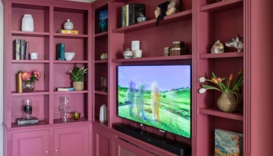 TV Room Design - Anna Auzins - Wimbledon Interior Designer